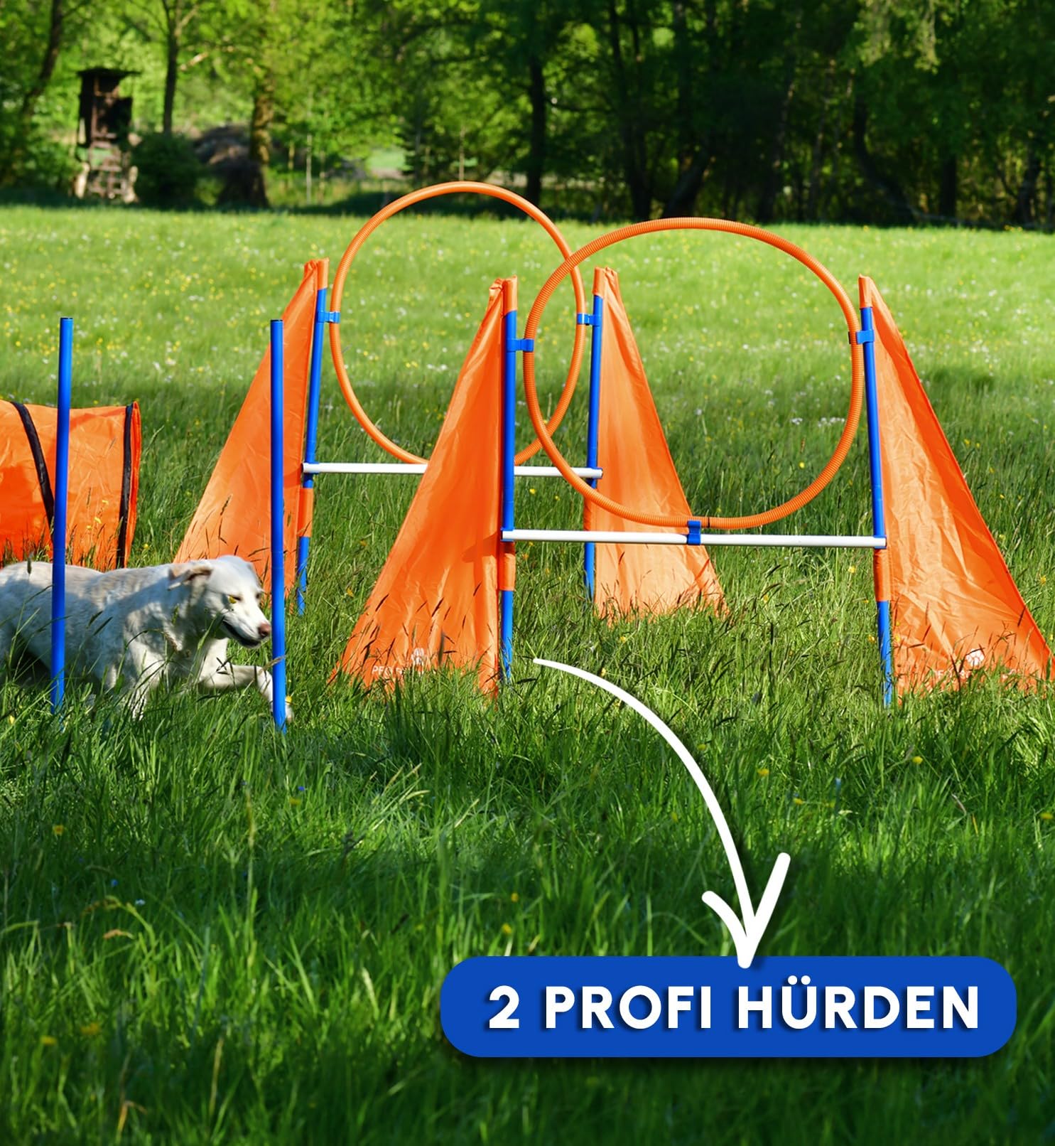 PfotenWunder® 2X-Profi-Agility-Hürde, Agility-Hürden-Set groß, für kleine & große Hunde-Training Sport Parcour Zubehör Hürden Sprungring Sprunghürde