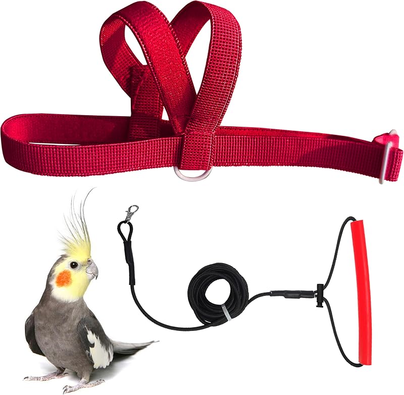 Peitoral Ajustável para Aves VANFAVORI com Guia Elástica Burgundy Red – 2 m
