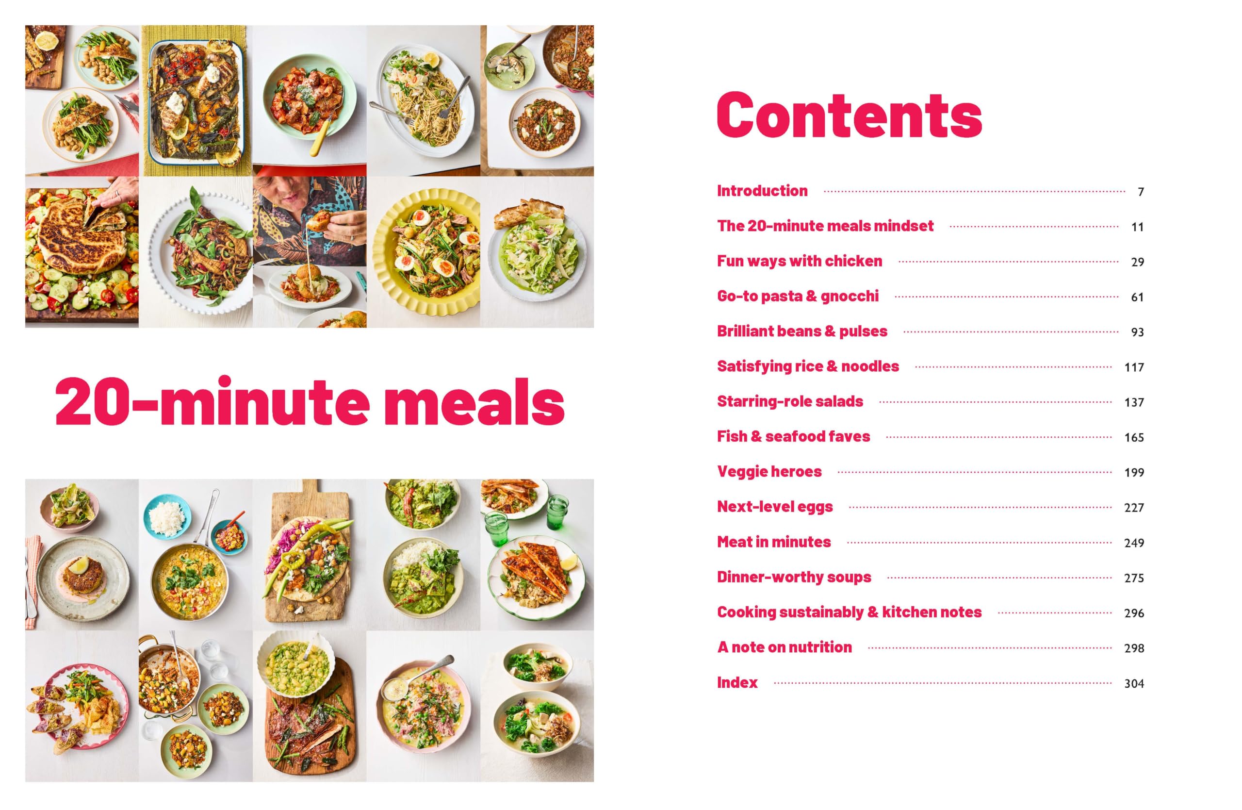 20 Minute Meals: Dinner in 20 Minutes or Less
