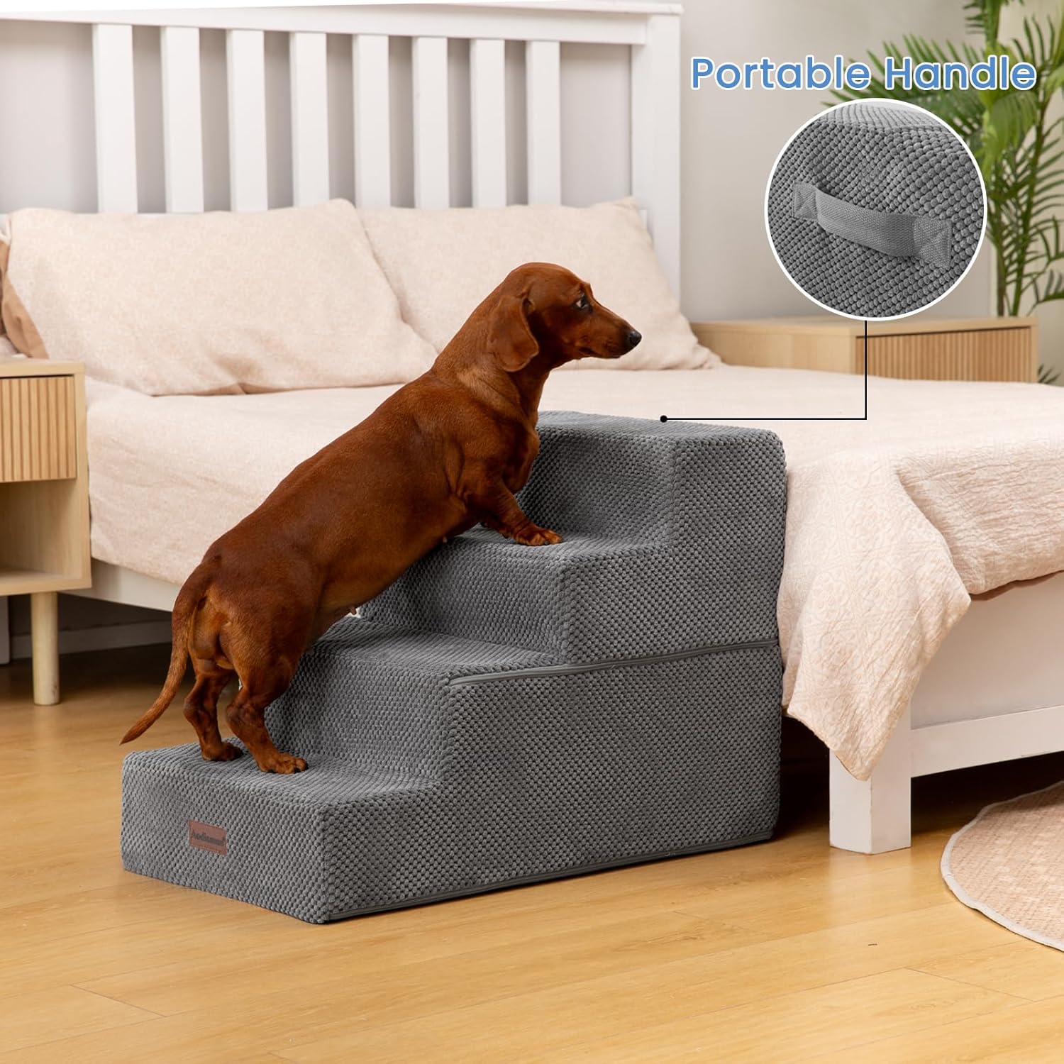 Elevate Your Pet