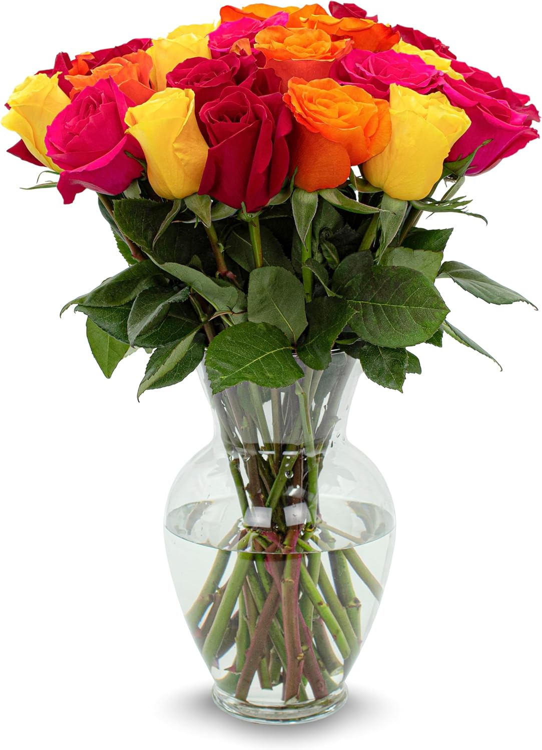Stargazer Barn – 12 Stem Premium Rainbow Roses Bouquet (Vase Not Included) - Hand-Tied in the USA - Fresh Flower Delivery for Birthday, Anniversary, Sympathy, Home Decor, Wedding, Mother's Day