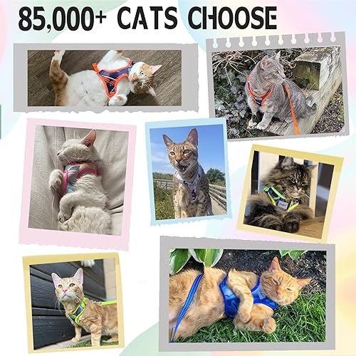 Miniatura 2 de Supet Juego de arnés y correa para gatos elegante arnés de chaleco a prueba de escape ajustable transpirable para mascotas con ribete reflectante