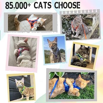 Supet Cat Harness and Leash Set Stylish Escape Proof Cat Vest Harness Adjustable Breathable Pet Harness with Reflective Trim Step-in Cat Leash and Harness for Cats Puppies S(Chest:9.6-15.7'' Blue
