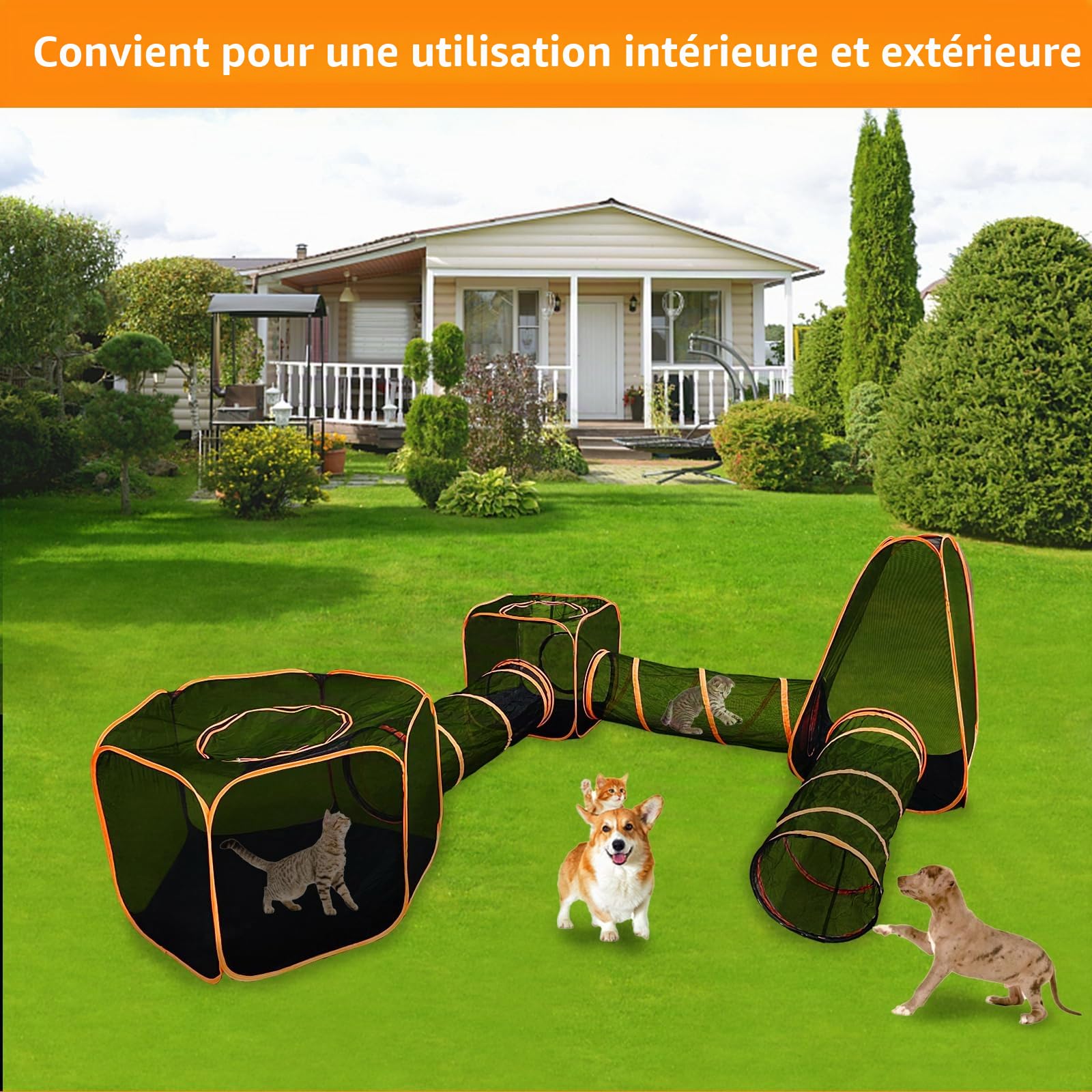 Homegroove Enclos d'extérieur pour chats d'intérieur, maison de jeu portable 6 en 1 (tente extérieure pour chat et tunnel circulaire pour chat) pour chats et petits animaux, parc d'intérieur avec sac