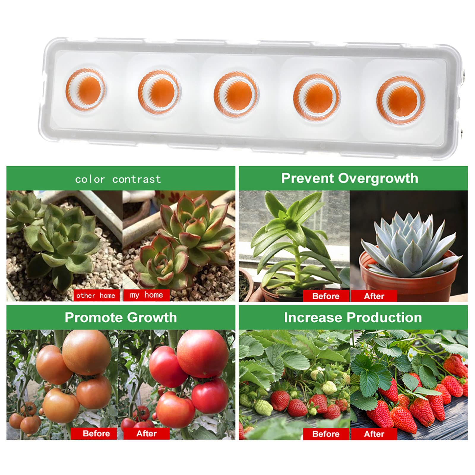 Lampes pour la culture de semis, de légumes et de fleurs – Lampe de culture LED, Lampes de culture LED suspendues pour plantes, Lampes LED pour plantes à pince, Lampes de culture pour plantes d'inté