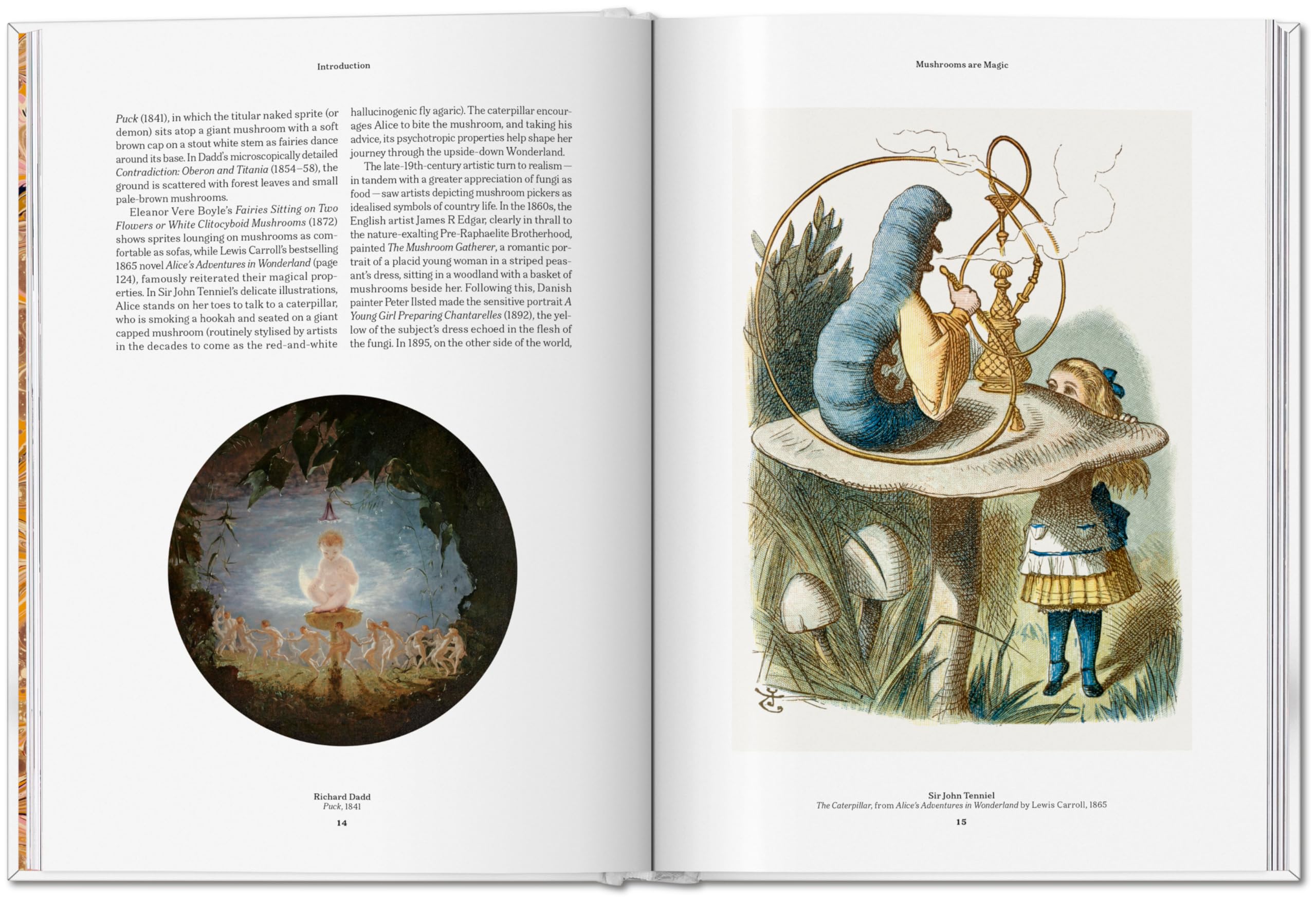 The Gourmand's Mushroom: A Collection of Stories and Recipes