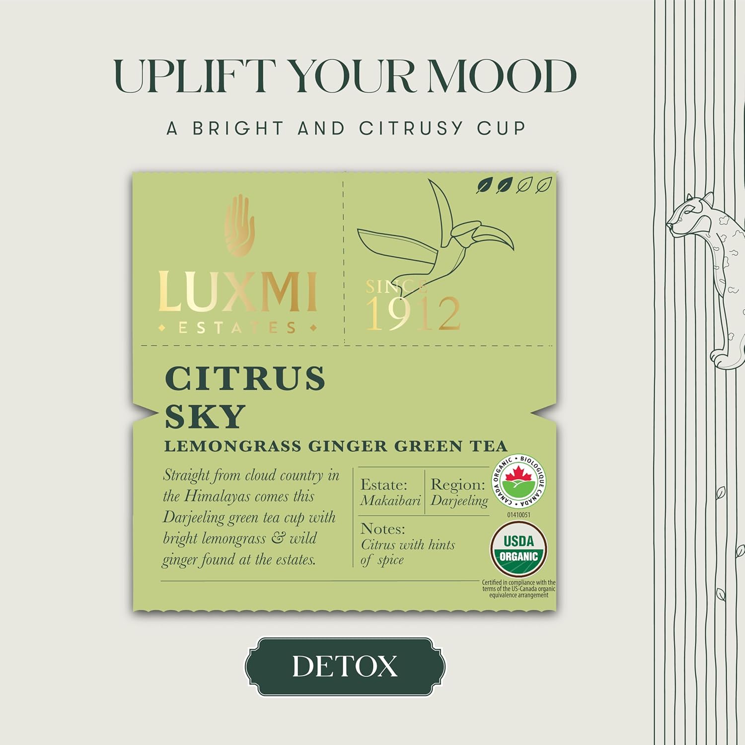 Luxmi Estates Citrus Sky Lemongrass Ginger Green Tea 50 Tea Bags (100g) Pack | Certified Organic Darjeeling Green Tea | Natural Lemon Balm Tea - Calming, Supports Digestion | 50 Cups Bulk Pack - Image 3
