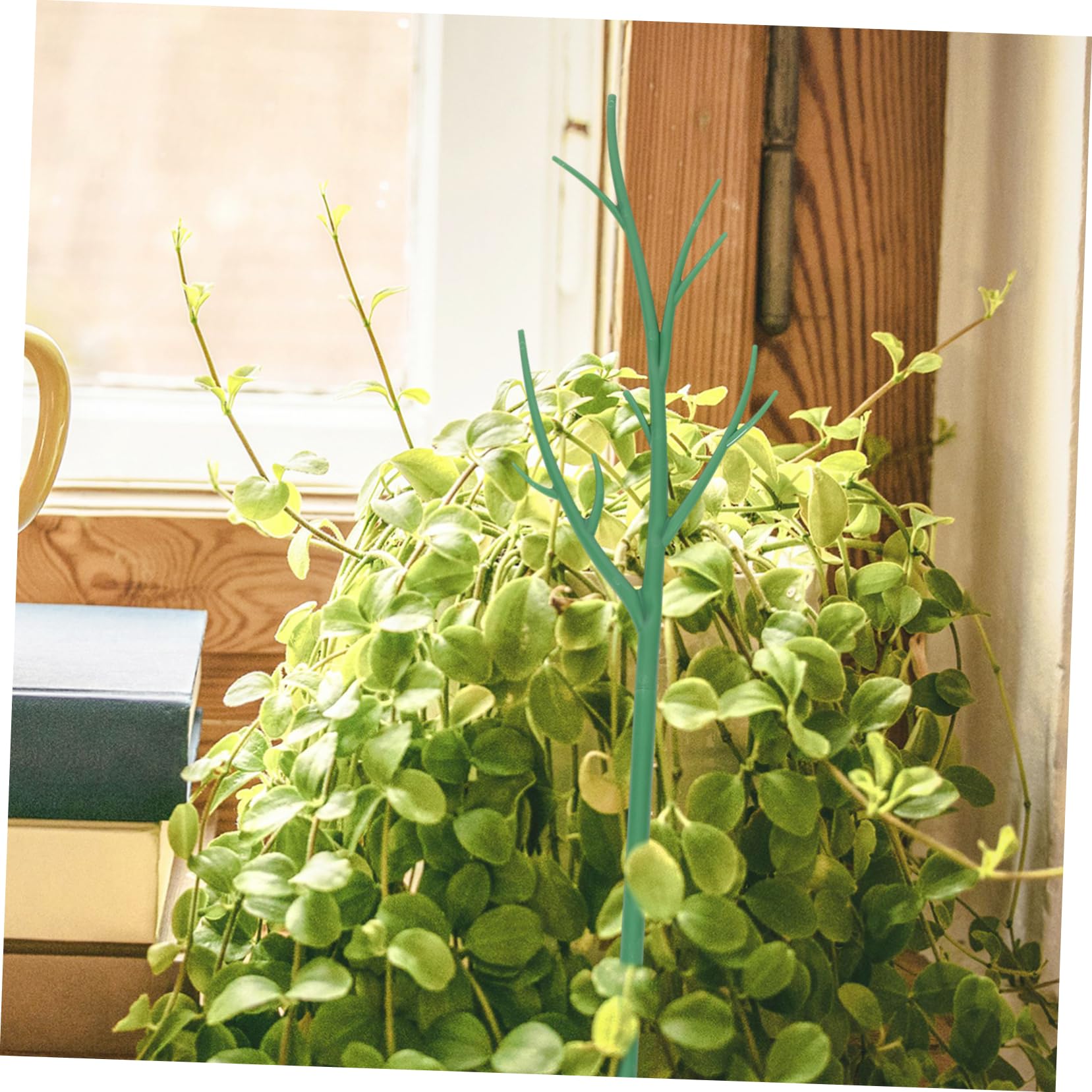 6pièces Piquets De Support pour Plantes Détachables Lot de Treillis Plastique pour Plantes Grimpantes Et Potted Plants Accessoire De Jardin Pratique Et Élégant