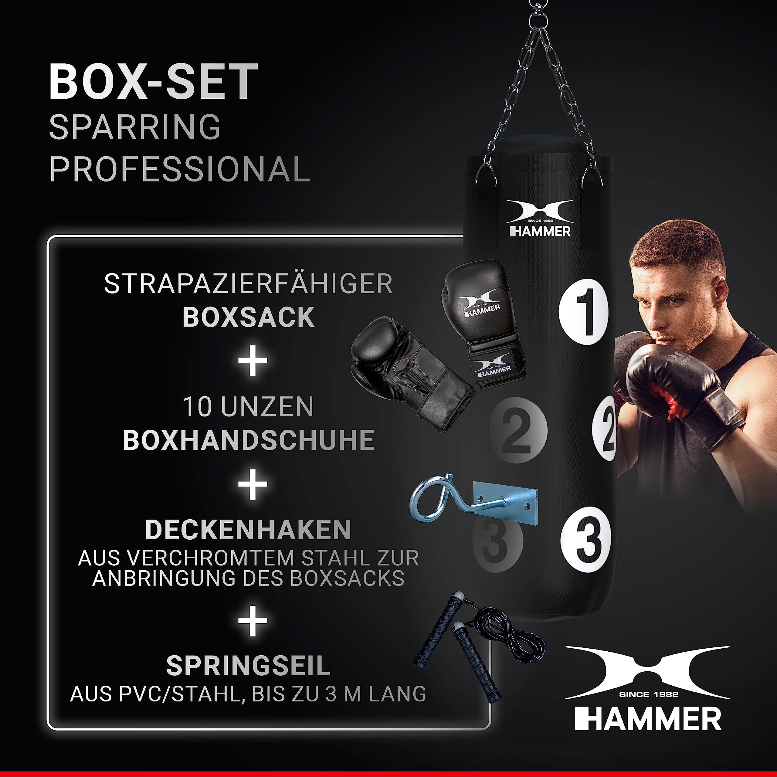 HAMMER Box-Set Sparring Professional - Boxsack Set, Gefüllt, 80 cm, nummeriert mit Trefferflächen, Boxhandschuhe 10 oz, Springseil, Profi-Deckenhacken