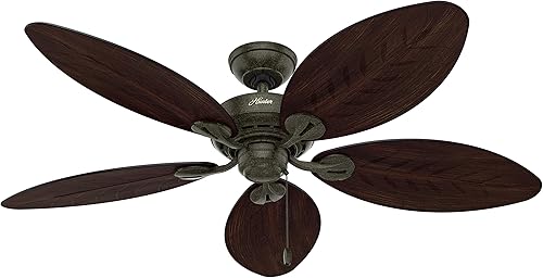 Hunter Ventilador de techo para exteriores de 54 pulgadas de oro provenzal contemporáneo y cadena de tracción (renovado)