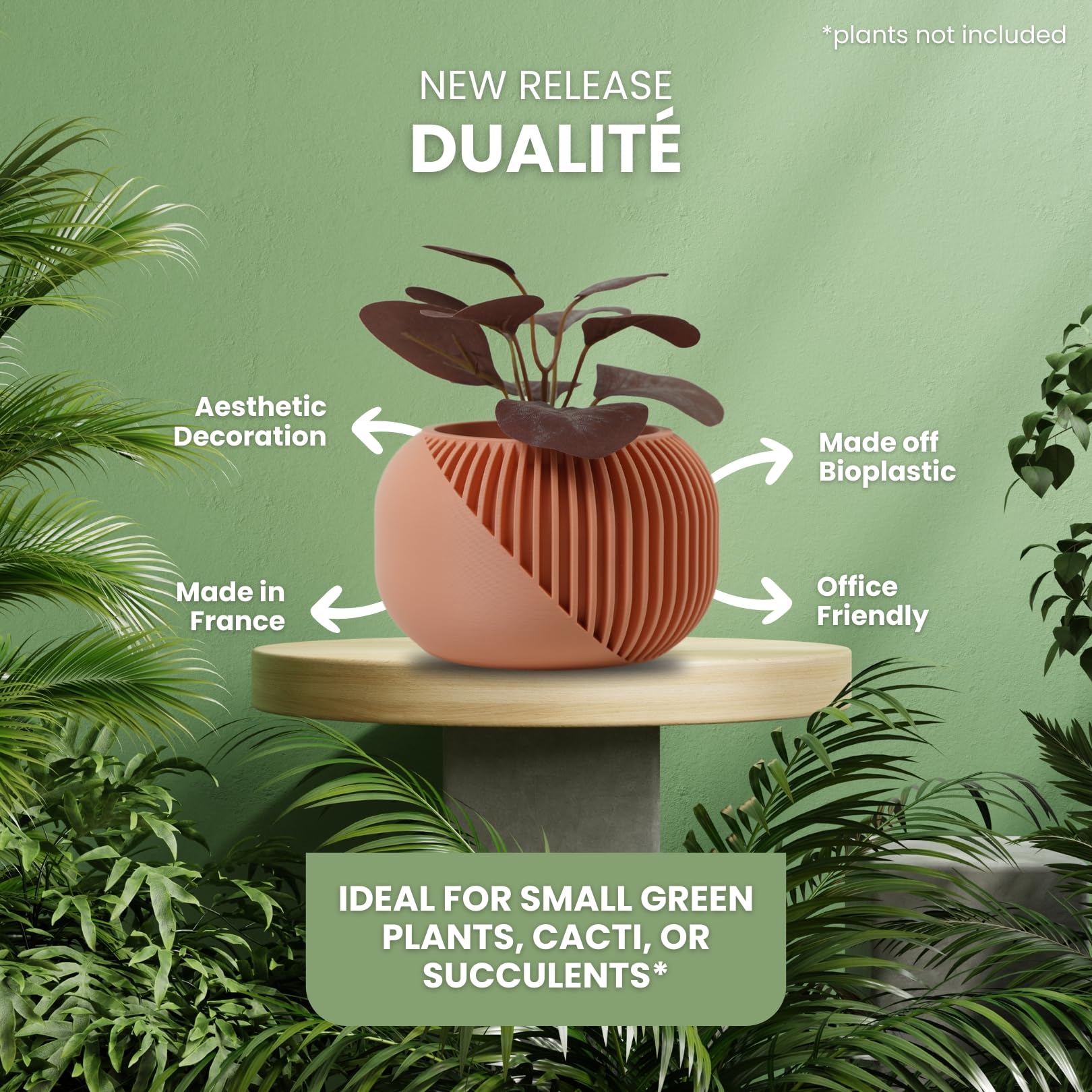 Koala Studio Dualité, Indoor Decorative Pot for Synthetic Plants Succulents & Cacti Design - Image 2