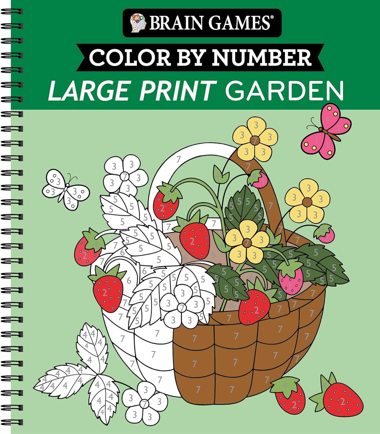 Brain Games Color by Number Large Print Garden Publications