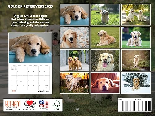 Vista 388 de Calendario Goldendoodle 2026 Golden Doodle mensual de pared calendario de 12 meses Fabricado en Estados Unidos