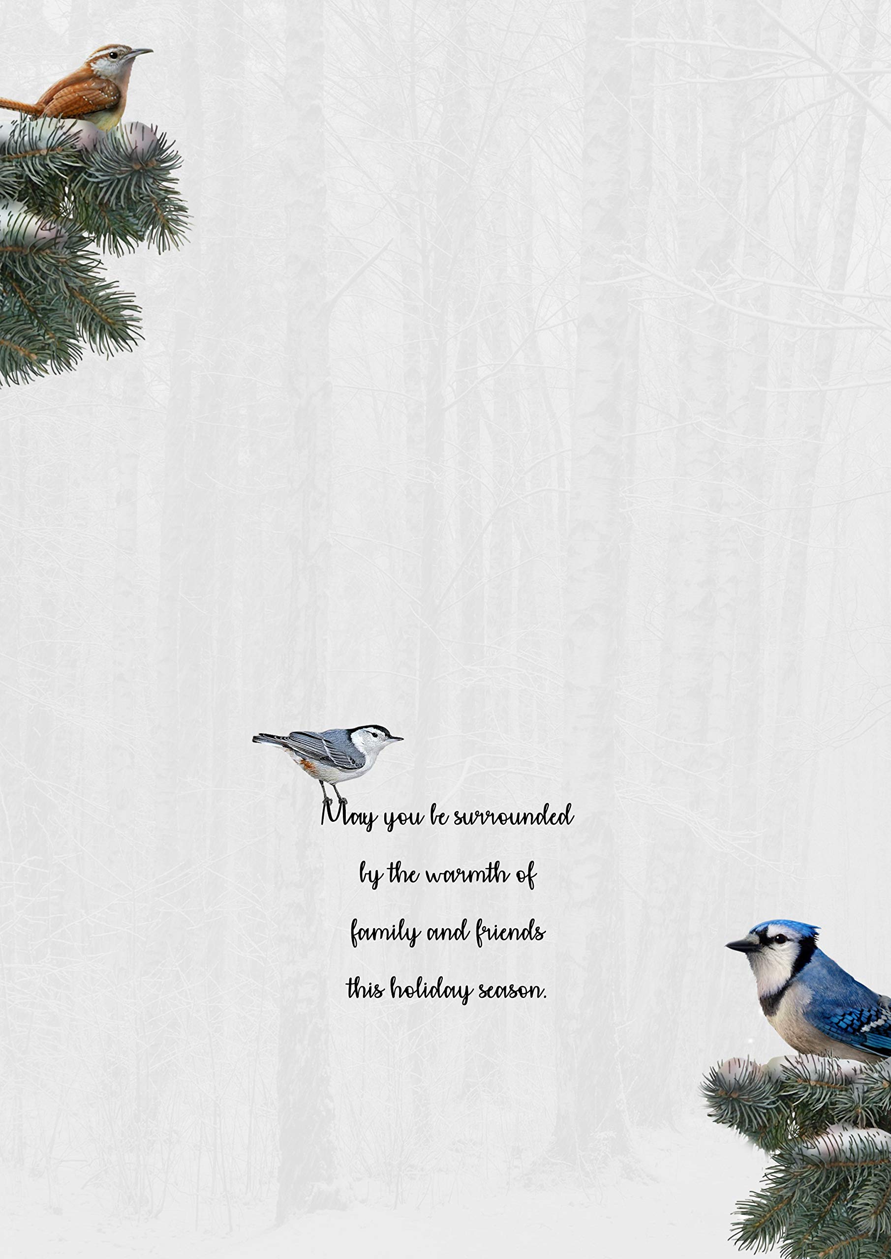 Performing Arts Premium-Weihnachtskarten mit Vogelhaus, 18 Weihnachtskarten, Kardinal Chickadee Wildlife, niedliches Schreibwaren-Set in Box, 17,8 x 12,7 cm, Vogel-Weihnachtskarten mit Umschlägen