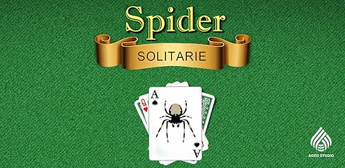 Solitário Aranha
