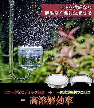 Amazon | Clscea DC500-25-JP 小径24mm 水草用co2