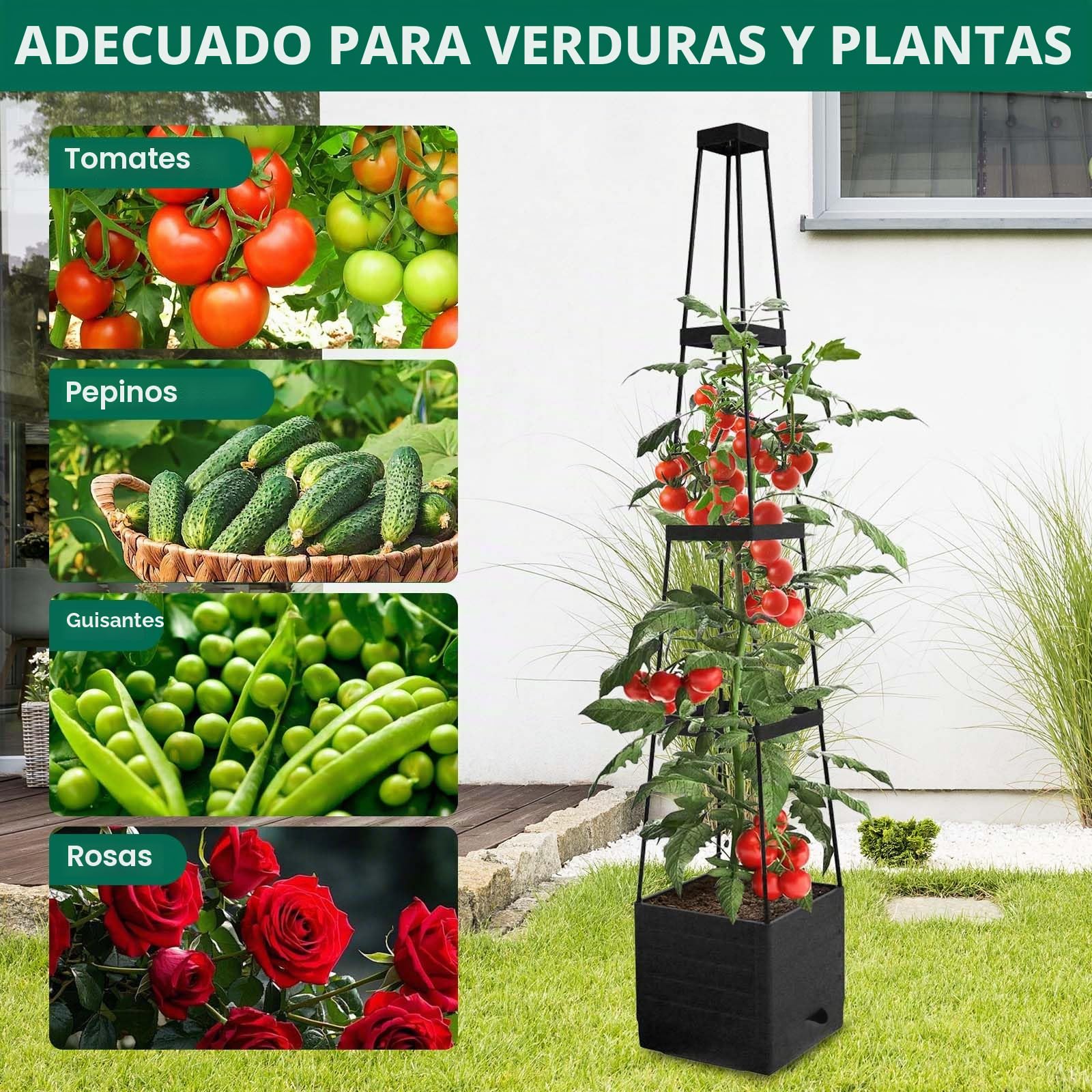 MYMULIKE Obelisco con macetero, 2 unidades de ayuda para enredaderas de tomates, 150 cm, con macetero, soporte para plantas, altura ajustable, 25 x 25 x 150 cm (2, gris)
