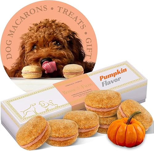 Bonne et Filou Caja de regalo de golosinas para perros de grado humano, macarons para cumpleaños, golosinas gourmet para perros, aperitivos
