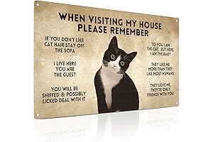 When Visiting My House Please Remember Cat Sign