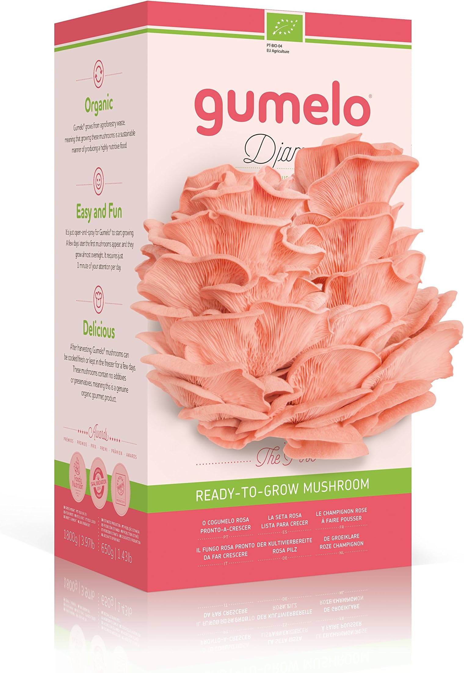 Gumelo Djamor - Grow Your Own Kit - Do it yourself DIY