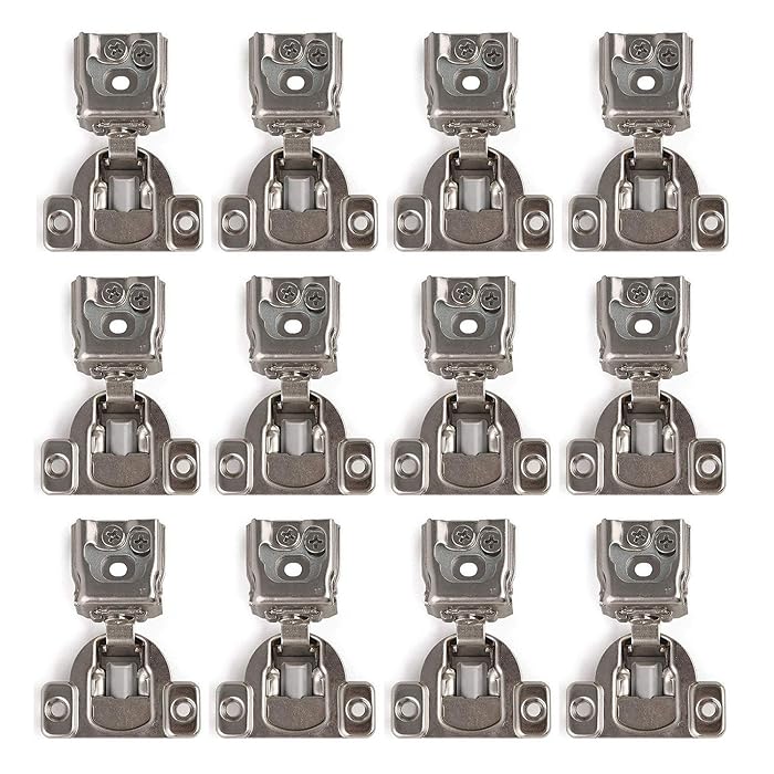 Buy LIKERAINY 1" Overlay Door Face Frame Hinges with Builtin