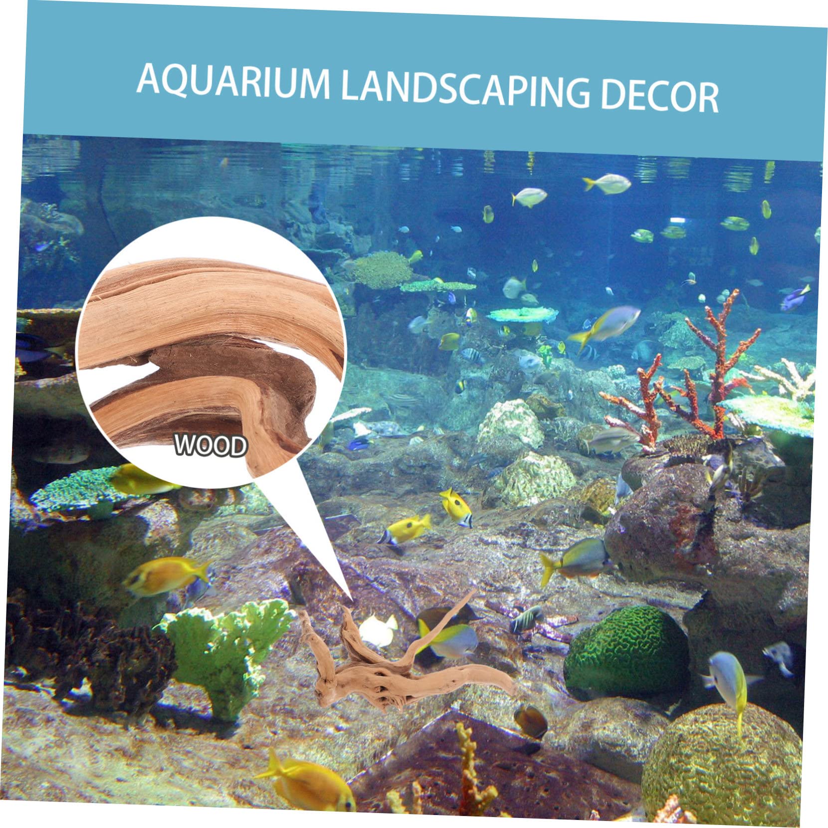 BESPORTBLE Fácil de Usar de Madera Flotante para Acuario 3 Piezas Forma Realista Varios Estilos Adecuado para Ambientación de Peceras y Paisajismo Natural
