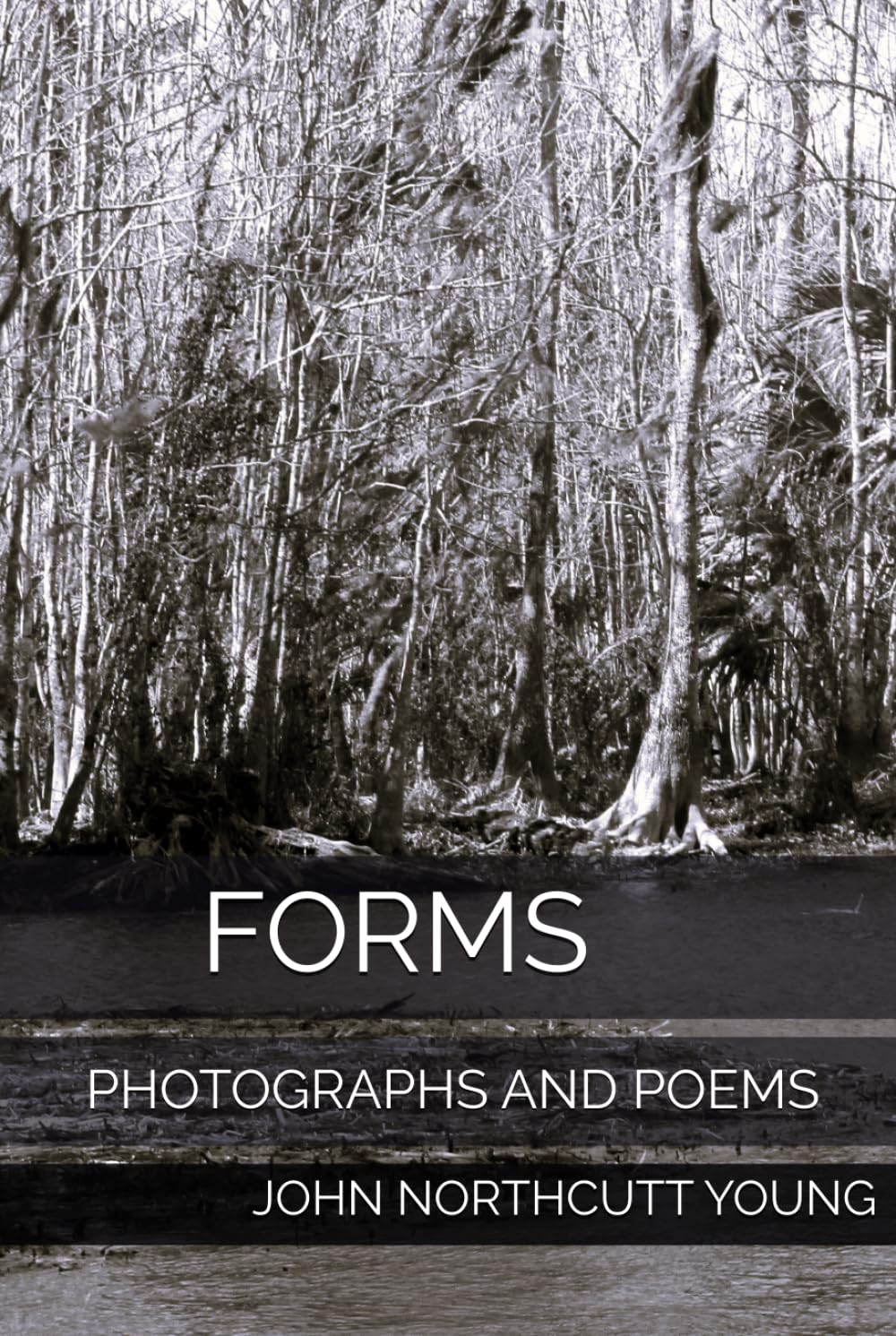 FORMS: PHOTOGRAPHS AND POEMS