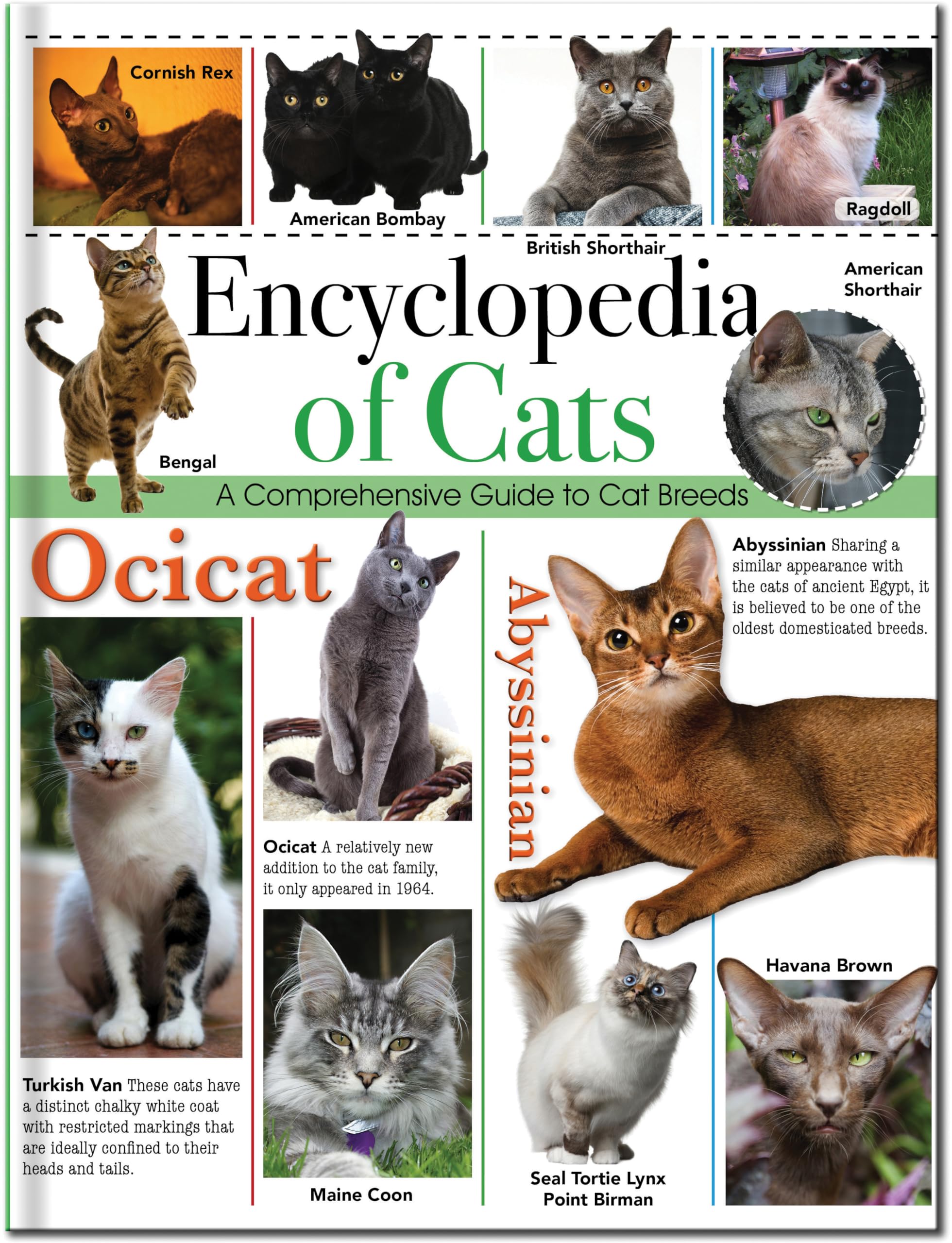 Encyclopedia of Cats: A Comprehensive Guide to Cat Breeds (Children's Encyclopedias)