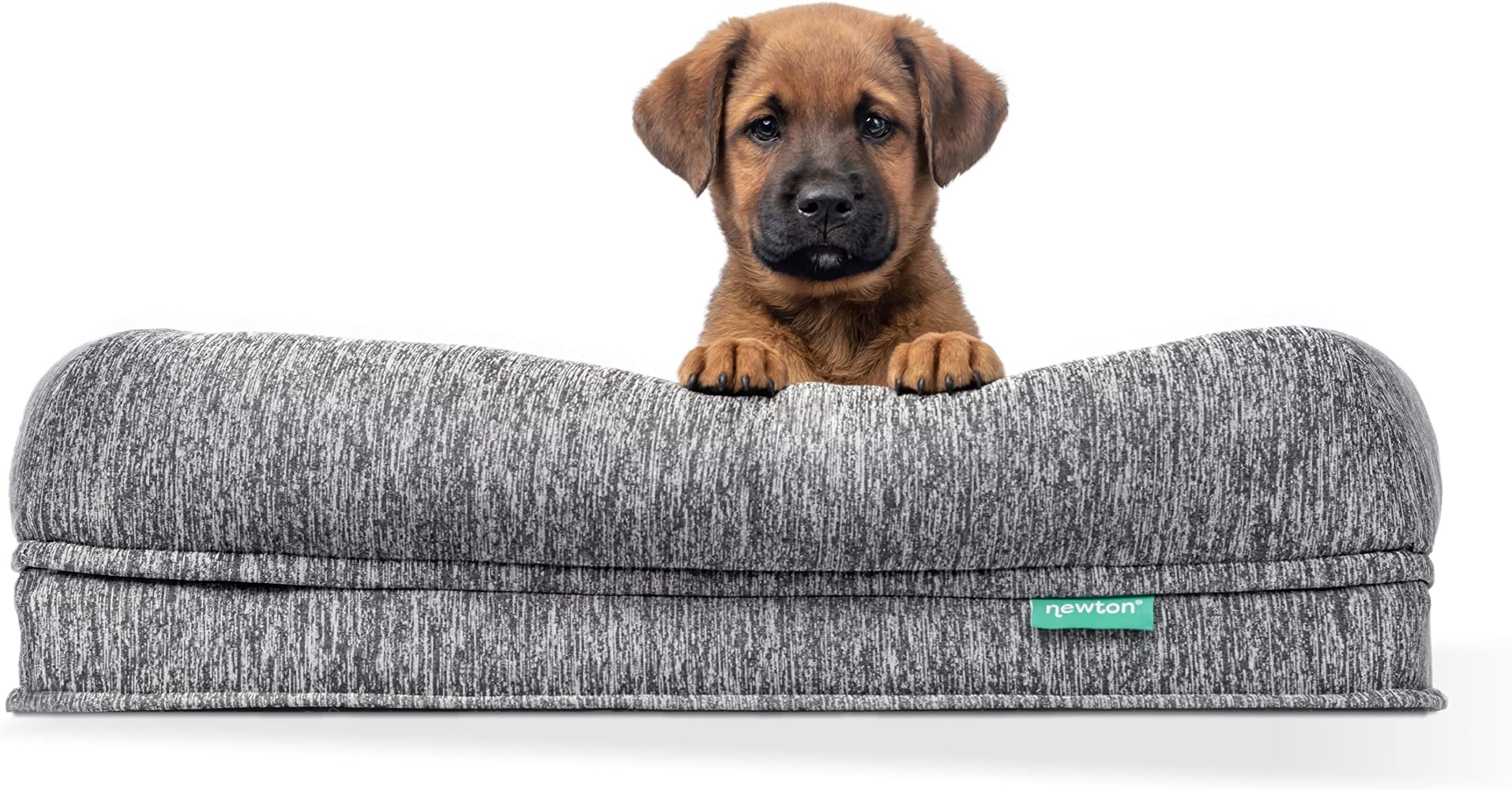 Newton Orthopedic Pet Bed - Washable Bed for Small Dogs, Puppy Bed, Crate, with Removable & Breathable Dog Bed Cover, Comfy & Durable, Dog Essentials, Small