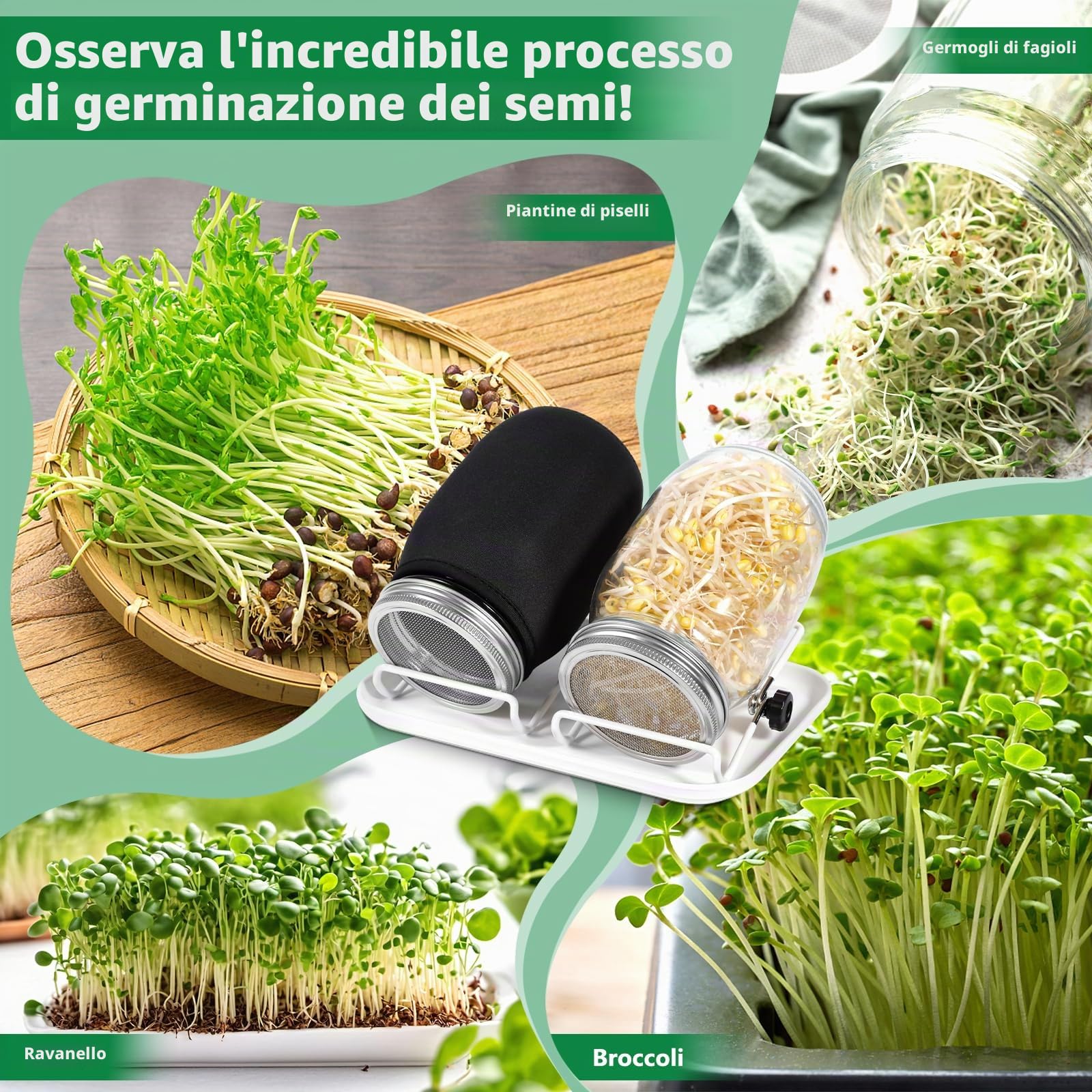 Barattolo Germogliatore Set,2 1000ml Germogliatore in Vetro, 2 Coperture, 2 Supporti e 1 Vassoio,2 Manicotti Oscuranti,1 Spazzola,Kit di Barattoli per Germogliamento di Semi per Broccoli Germ