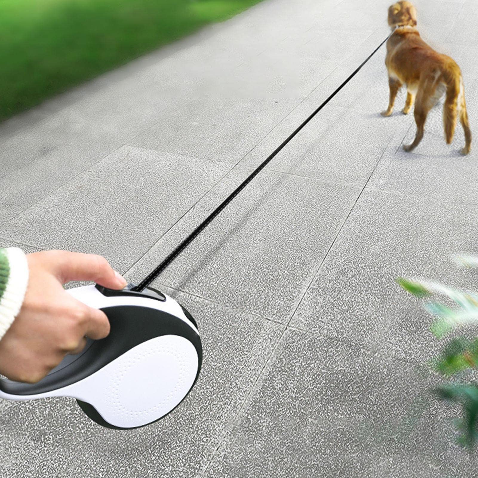 2 Uds Correa Larga para Perros - Correas para perros con luces LED, Línea Cat Puppy de 16 pies - Correa sin enredos de 360 grados Correas para perros de servicio pesado Accesorios para perros Abbto | Línea Cat Puppy de 16 pies - Correa sin enredos de 360