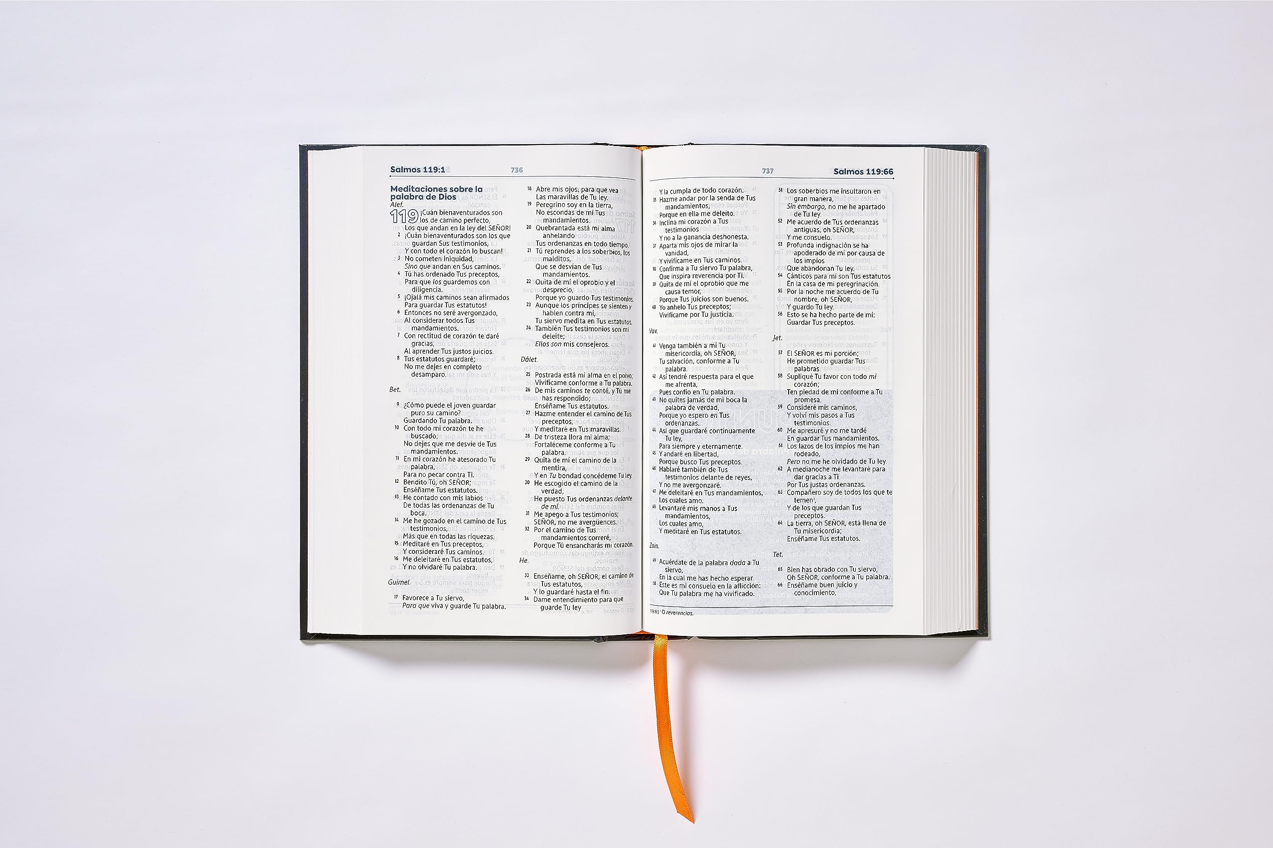 Biblia de Estudio para Jovenes: Nueva Biblia de las Americas, Estudio para Jóvenes, Azul, Comfort Print