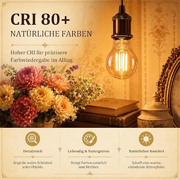 scicent Pack of 2 E27 LED Light Bulbs Dimmable A60 4 W 2700 K Warm White Amber Glass LED Lamp E27 Light Bulbs