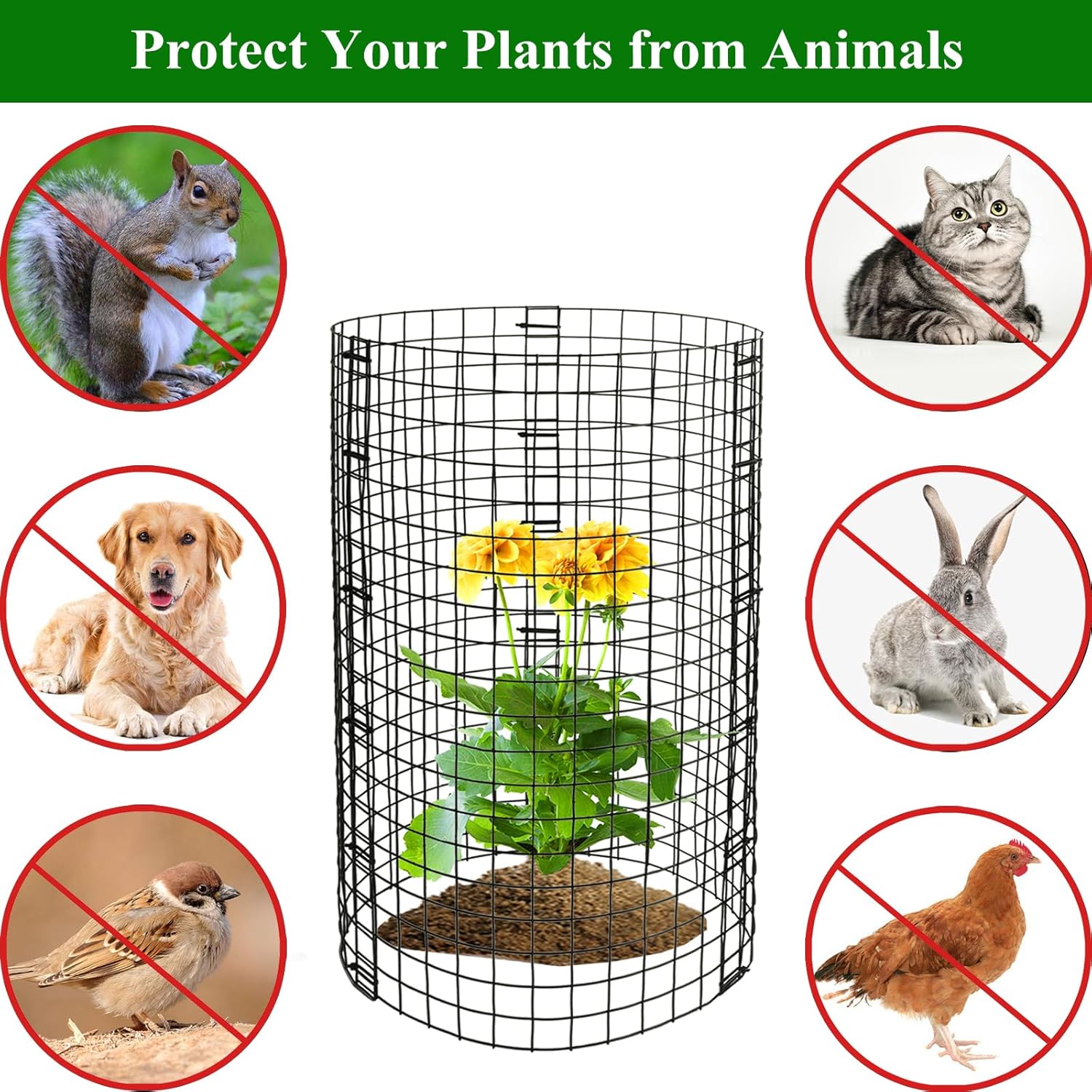 10 Packs Plant Protectors from Animals Chicken Wire Cloche 12" D X 16" H Plant Covers Plant Cage for Outdoor Plants Garden Protection from Animals