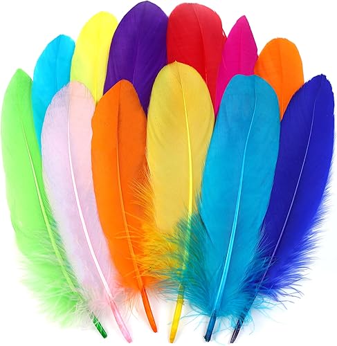 Ballinger Coloridas plumas de ganso para manualidades, 120 plumas de colores de 6 a 8 pulgadas para manualidades, alas de ángel, atrapasueños y