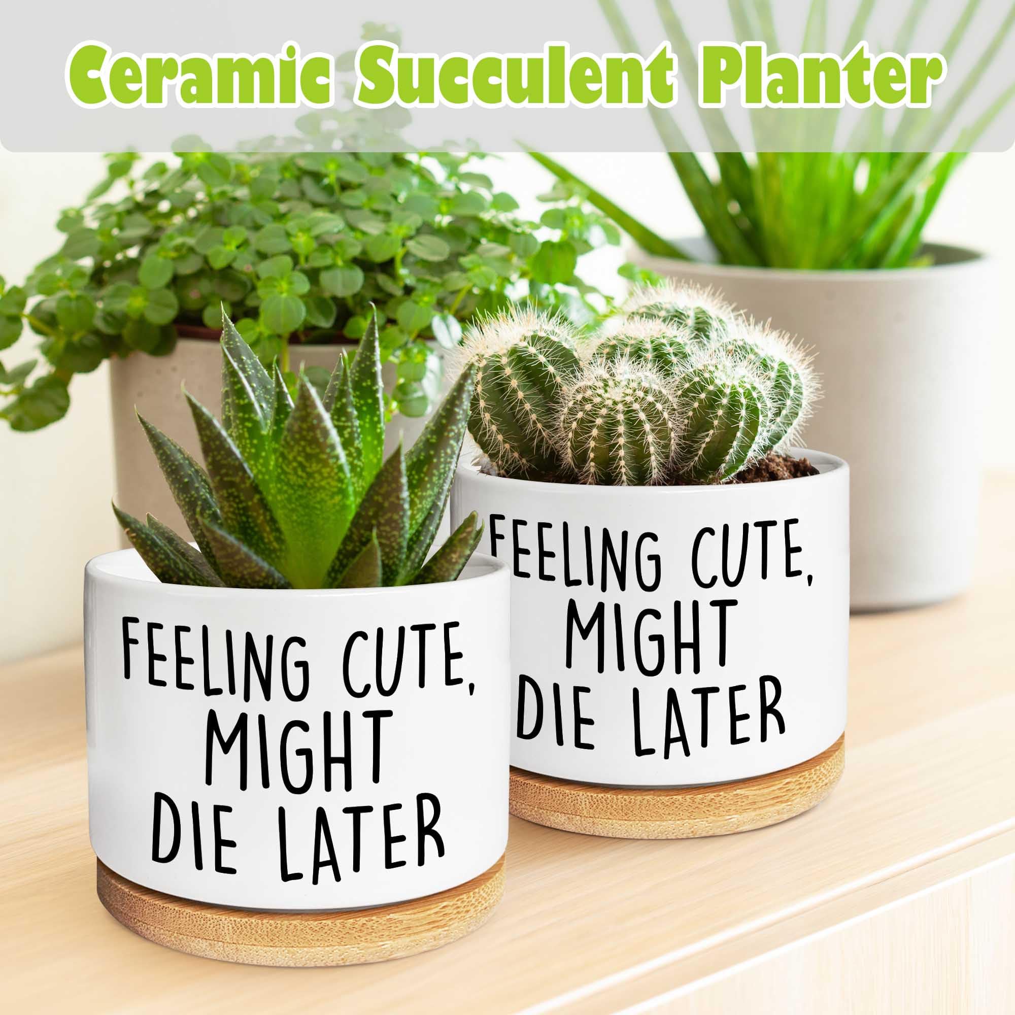 garden planters box Wooden Planter Box