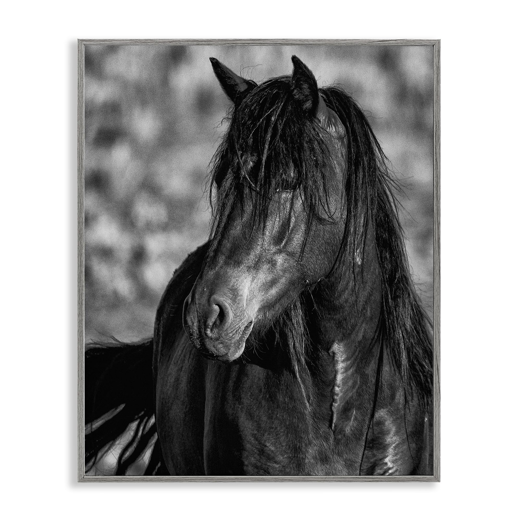 Stupell Industries Farmhouse Gray (Textured) 'Beauty In Black'| Framed Giclee Art