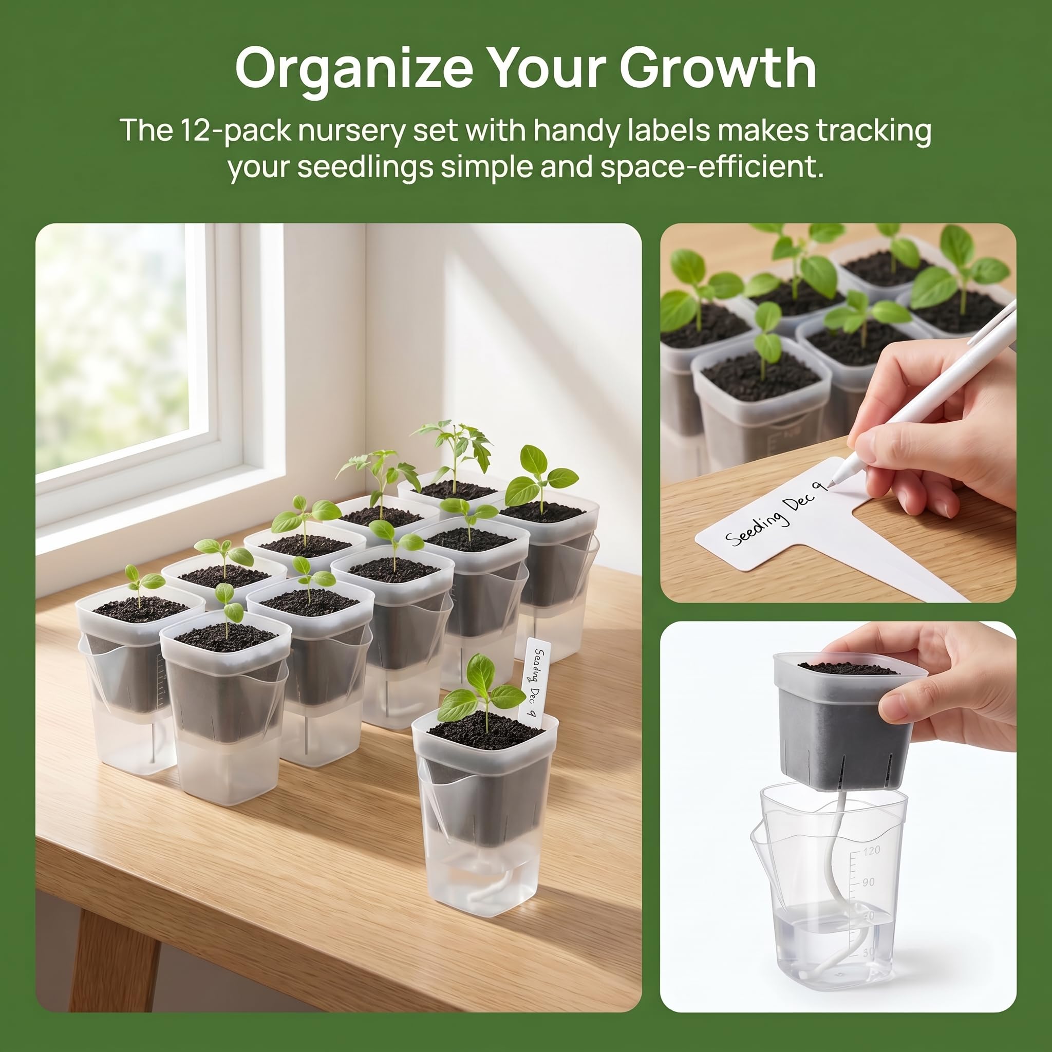 Pots à arrosage automatique pour plantes d'intérieur. Pots de pépinière transparents avec drainage. 12 ensembles de pots de fleurs transparents de 6,3 cm avec noyaux en coton et marqueurs de niveau
