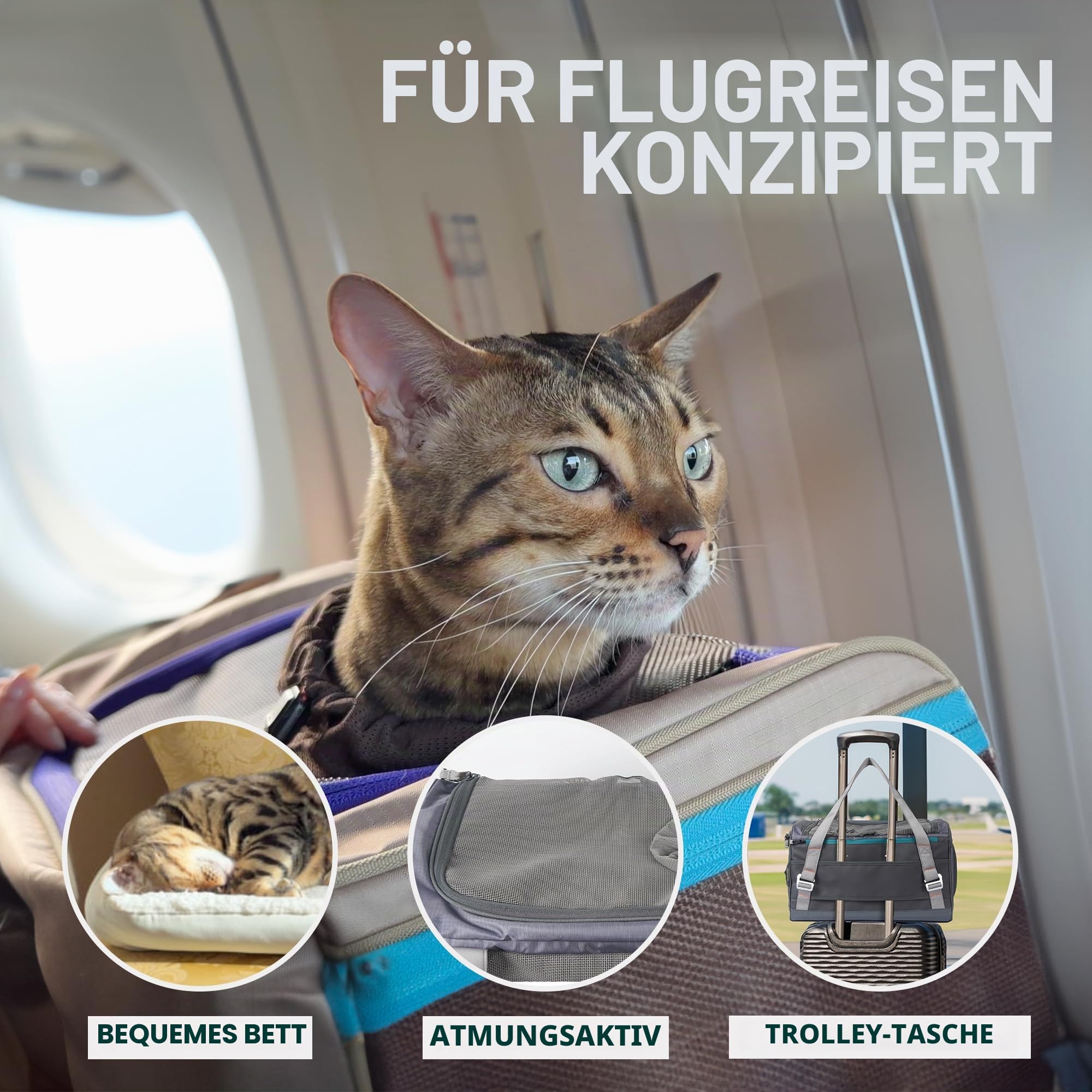 OutdoorBengal Zeppelin Airline-zugelassene große Katzentragetasche, weich, TSA-geprüfte Haustier-Tragetasche, mit Öffnung Oben, für Flugzeug- und Autoreisen, Kätzchen oder kleine Hunde (Creme)