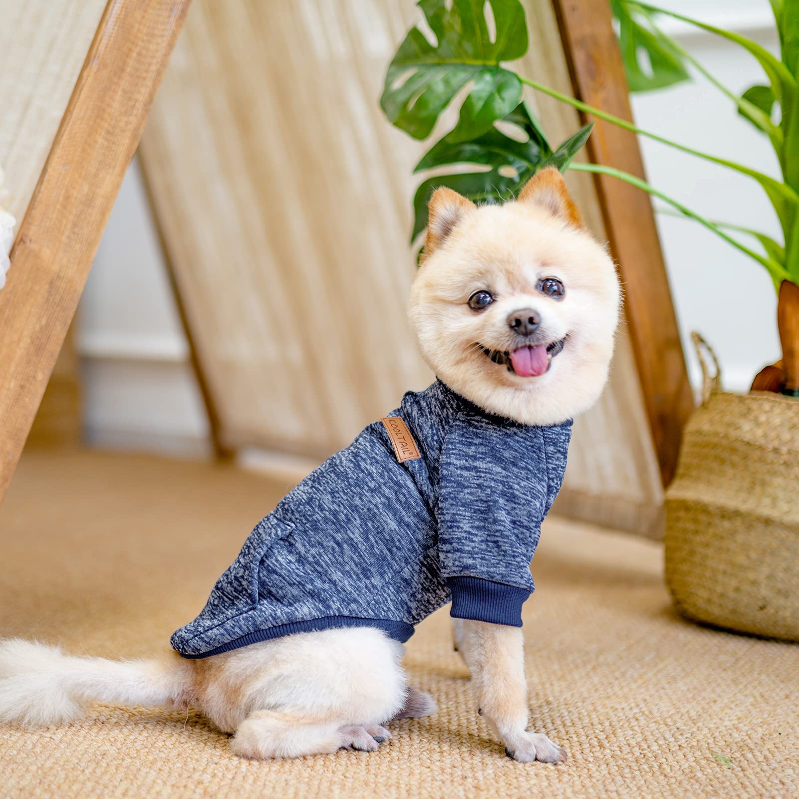KOOLTAIL Hundepullover Winter – Baseball-Shirt-Design Mit Tasche, Für Kleine Bis Große Hunde, Weich & Warm