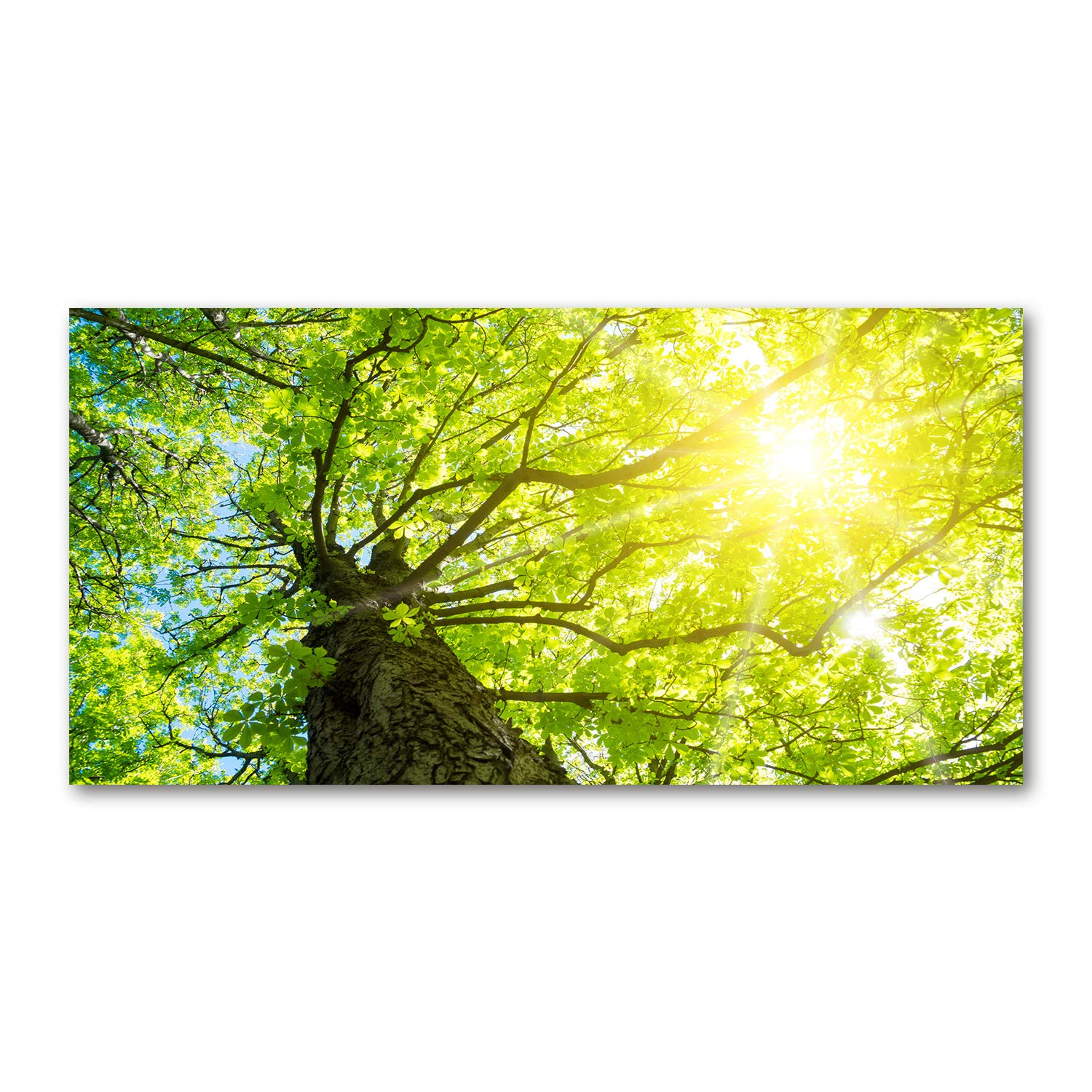 Image verre plastique déco mural 120x60cm pour créer un salon nature et apaisant