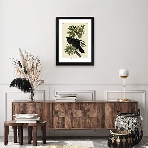 Miniatura 3 de Raven by James Audubon - Póster enmarcado para decoración de pared, pintura de obras de arte finas, pósteres e imágenes, impresiones de galería en