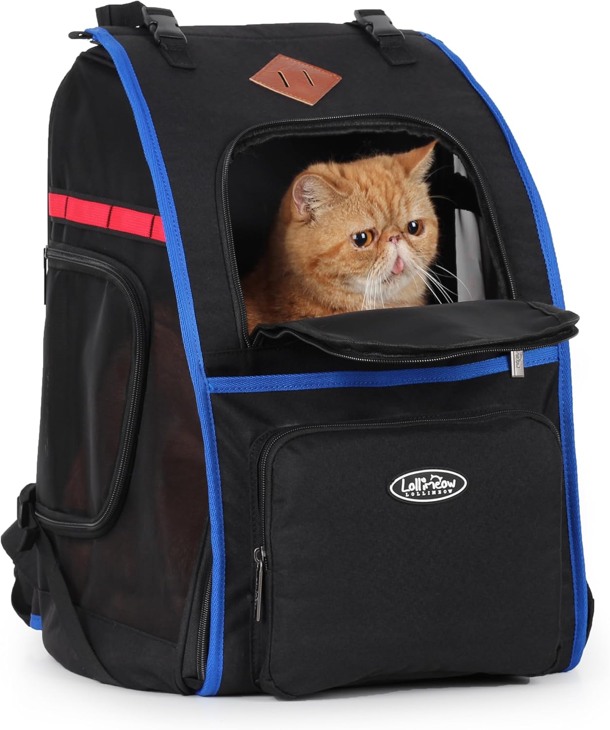 Lollimeow Cat Backpack Pet Carrier for Cats and Puppies Ventilated