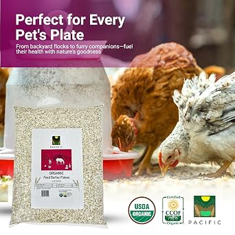 Pacific Petfood Organic Feed Barley Flakes - Barley Flakes Organic | Rich with Fiber & Minerals | USDA and CCOF Certified | Packed in USA | 2Lbs Pack of 1