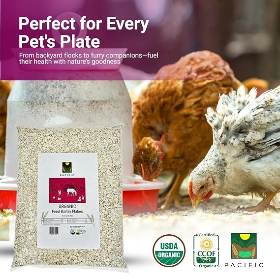 Pacific Petfood Organic Feed Barley Flakes - Barley Flakes Organic | Rich with Fiber & Minerals | USDA and CCOF Certified | Packed in USA | 2Lbs Pack of 1