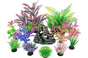 Vivacious Aquarium Oasis: Embellish Your Turtle's Haven