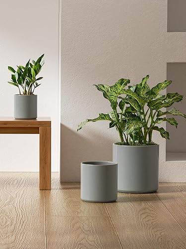 Miniatura 4 de LE TAUCI Macetas de cerámica para interiores, macetas de 10+8+6 pulgadas para plantas de interior, macetas modernas de mediados de siglo con