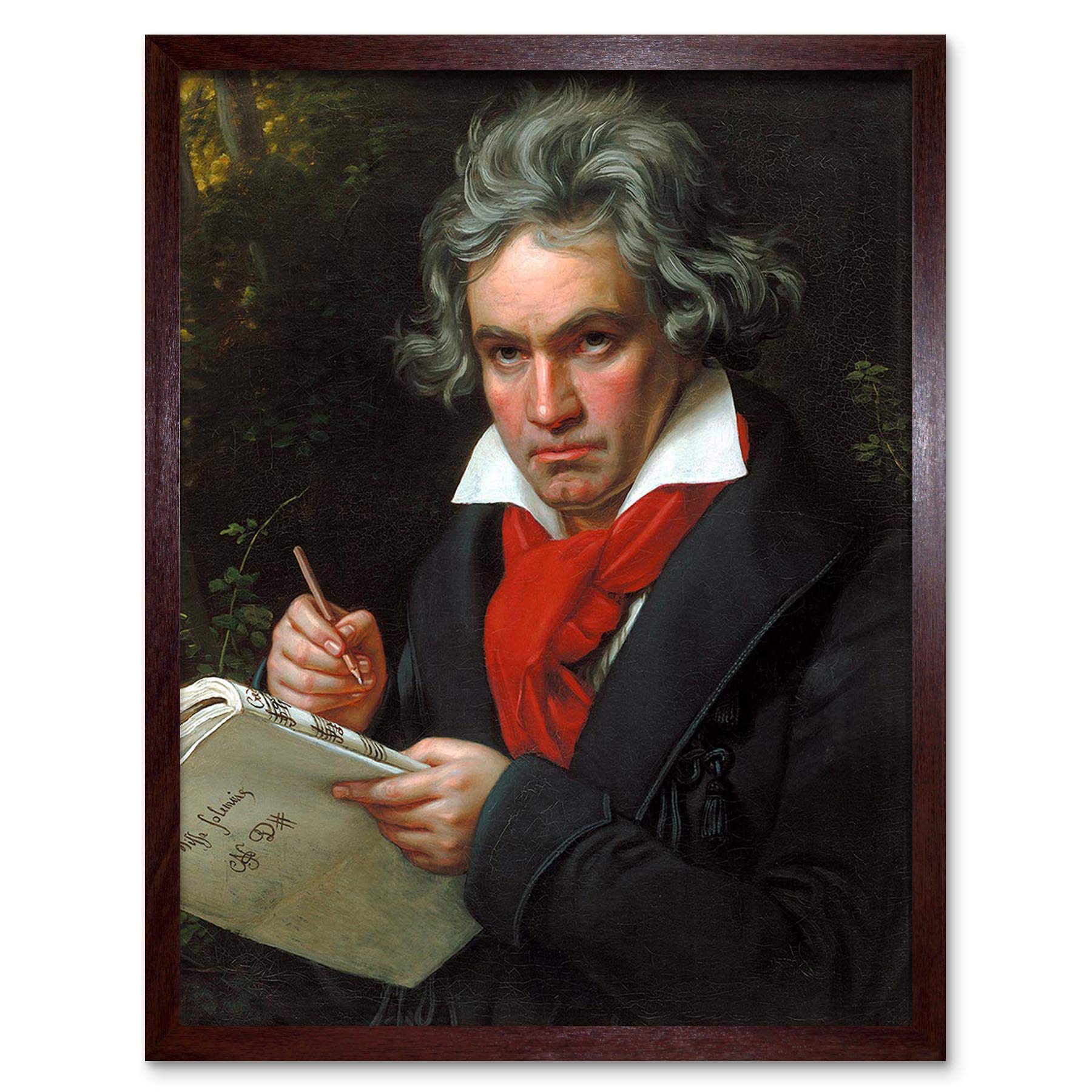 Wee Blue Coo Stieler Composer Ludwig Van Beethoven Art Print Framed Poster Wall Decor 12X16 Inch