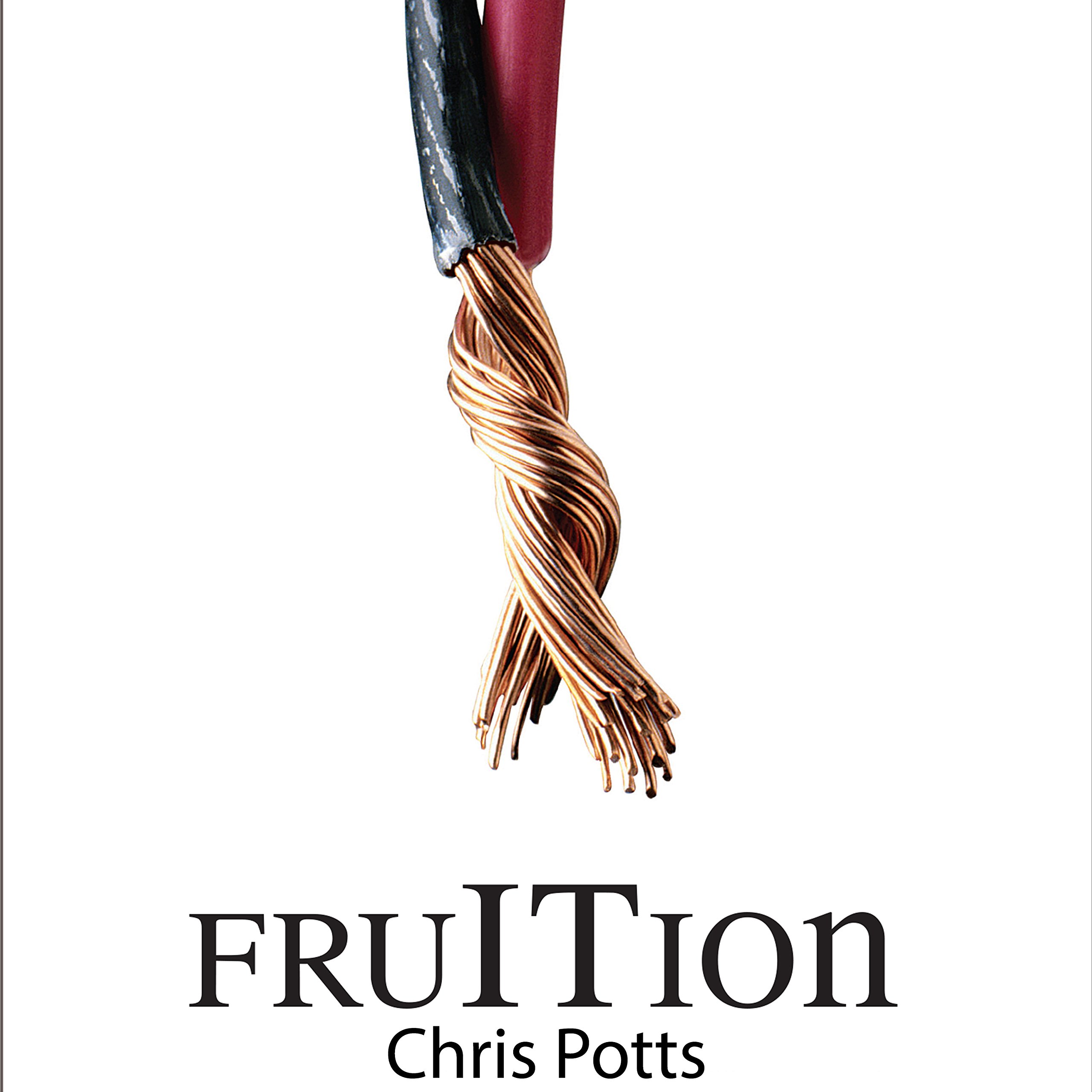 fruITion: Creating the Ultimate Corporate Strategy for Information Technology: FruITion Series, Volume 1