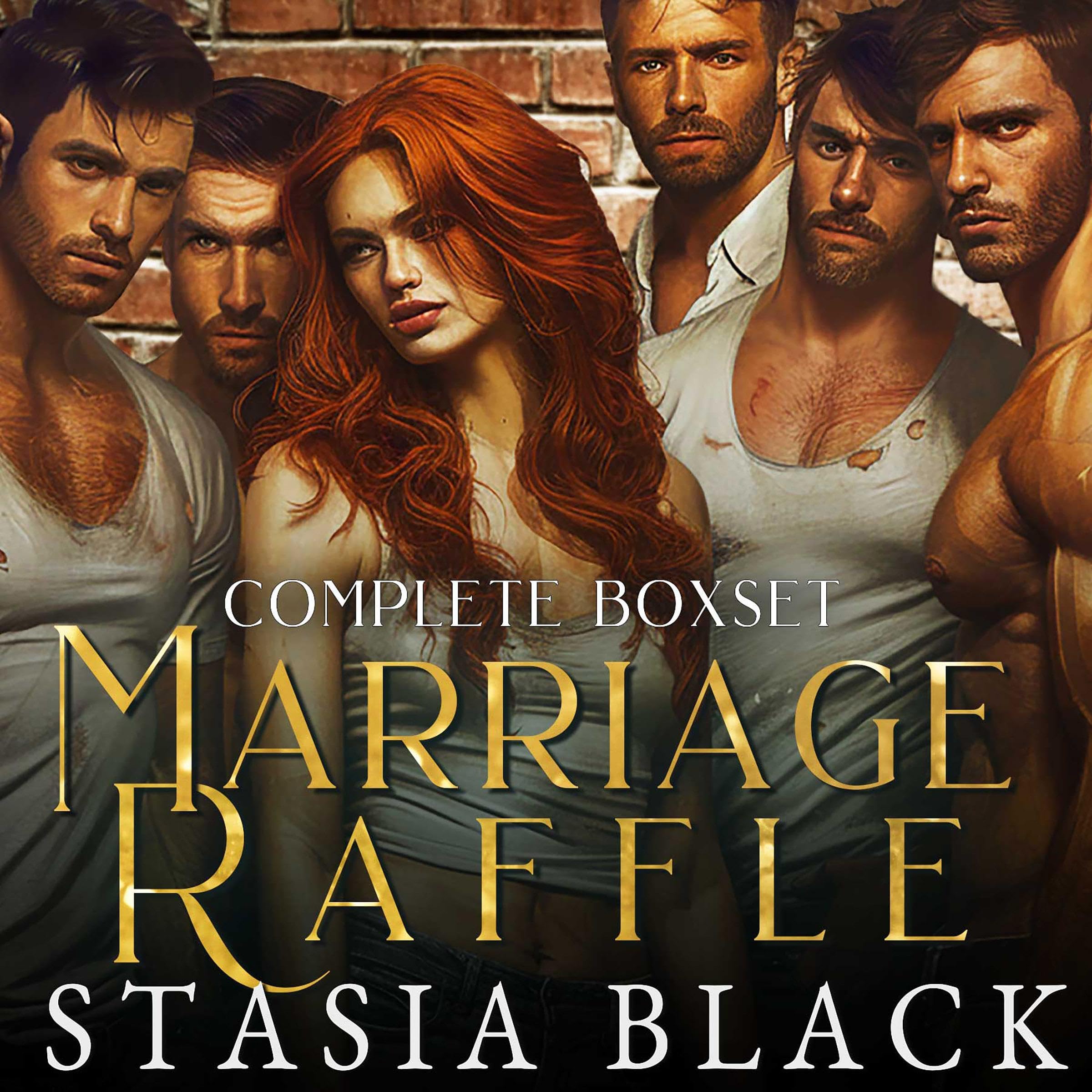 Cover art for Marriage Raffle Boxset